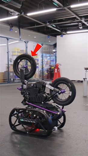 bicycle robot#shortvideo