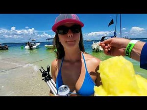 Ep. 55, Bikinis and Beer 🌴 BCI Tampa