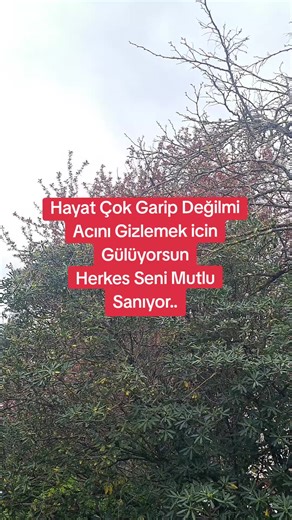 Vidéos de kişilerinden birisi (@.2024..06.06) avec EMİRHAN YİĞİT - 𝑬𝒎𝒊𝒓𝒉𝒂𝒏