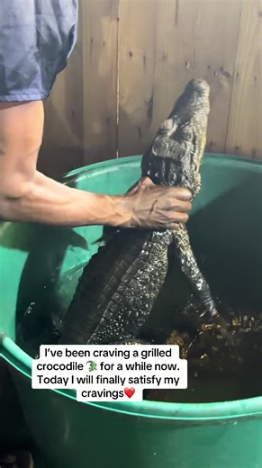 Satisfying My Craving for Grilled Crocodile