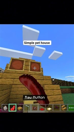 Minecraft Pet House Build #minecraft #viral #memes #minecraftguide #ytshorts #sonic #mc #shorts