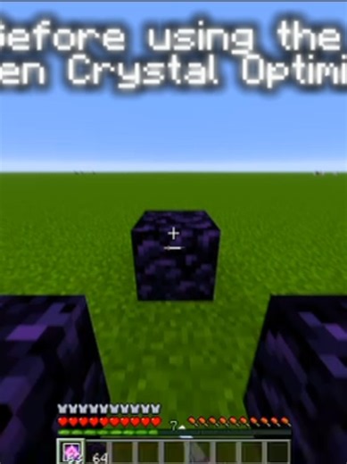 Best crystal optimizer! Mods and txt included in the website too!#minecraft #donutsmp #fyp #edit #viral