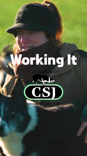 Meet the team at super speed! #sheepdog