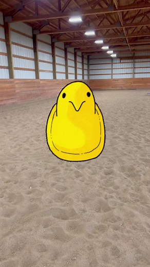 7.8K views · 314 reactions | Not sure why I decided to use the horse with 60 rides who has never had a rope swung off her for this. But, when inspiration strikes, I go for it! Happy Easter from the Double Z Farm animals!! #horses #horseriding #equestrian #funnyhorse | Double Z Farm | Facebook