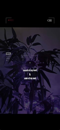 Videos de d1bu_22 (@d1bu_22) con “black Swan x fake love - 𝐁𝐋𝐀𝐂𝐊 𝐒𝐖𝐀𝐍🪐⁷”