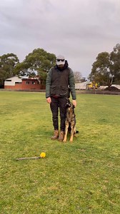 78K views · 1.3K reactions | Reward in the direction you want the...