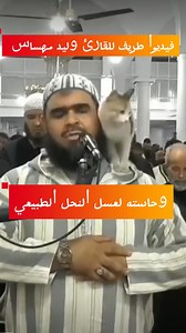 3.8K views · 739 reactions | #guessab_miel #bioapivoltage #bioapi #miel #قصاب_للعسل #pollen #guessab #غداء_الملكة #propolis #غداء_الملكة #عسل #عكبرحبوب_اللقاح #حبوب_اللقاح #حبوب_الطلع #عكبر #propolis | قصاب للعسل | Facebook