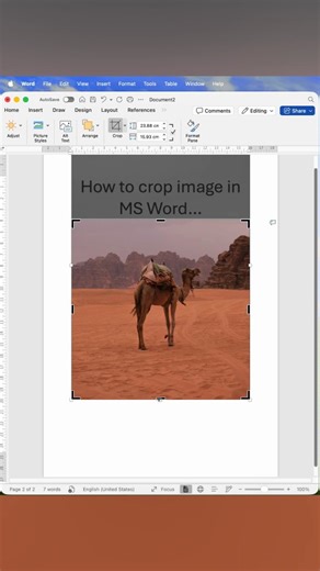 🖼️ Crop image shortcut Learn how to quickly crop images in MS Word for a clean document layout. 📌 Save & Practice Later 💬 Tag a Computer Lover ❤️ Like | Share | Follow @SimpleMSOffice for daily tips #MSWordTips #ImageEditing #OfficeReels #DocumentDesign #ComputerSkills | Simple MS Office