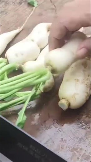 Easy Way To Prepare White Radish 🥕✨