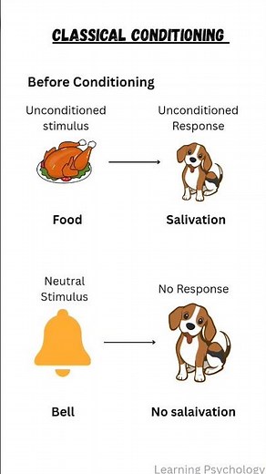 Classical Conditioning Explained Visually 🧠📊 | Diagram Only.#cuetpg#classicalconditioning class