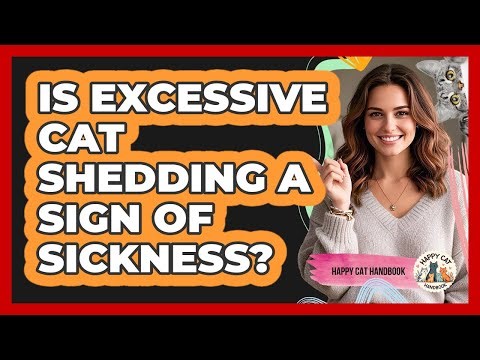 Is Excessive Cat Shedding A Sign Of Sickness?