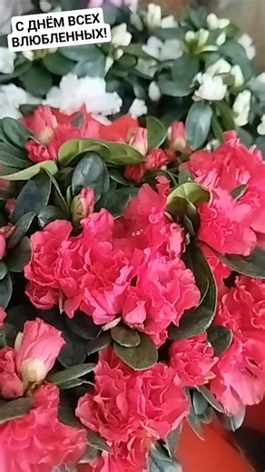 Daria Tsirulnikov on Instagram‎: "מבצע סיני 20 בת ים"‎