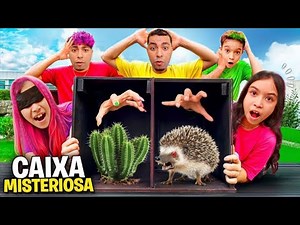 DESAFIO DA CAIXA SECRETA *Quem se deu mal ?