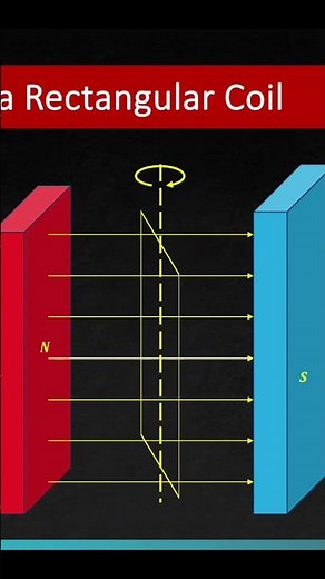 Torque on a rectangular coil placed in magnetic field #magnetism #magneticeffectofcurrent