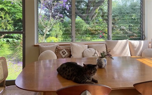 【Room Tour】从开放的室内可以观赏到庭院景色的家 |@ Cozy Houses in JAPAN