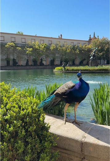 Explore Prague: A Journey Through Czechia's History