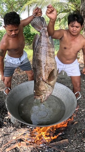 Cooking Whole Giant Grouper Fish Soup! 🔥