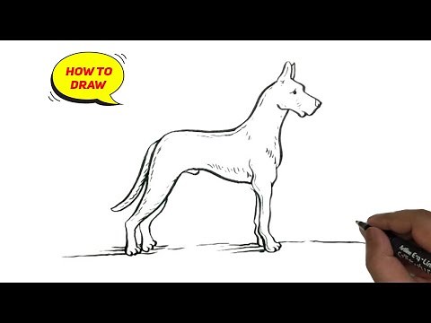 How to draw Great Dane dog easy and step by step