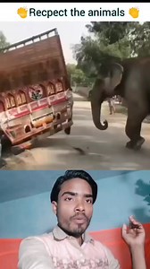 The elephant helped the driver 😎❤️ #sigmarule #motivational #quotes #inspiration #inspirational #viralreels #fbreels #sigmarule #trendingreels #foryourpage | Rehan vlogs official