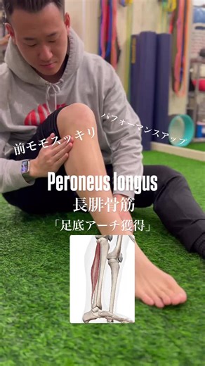 〜長腓骨筋〜 足底横アーチの形成、扁平足やハイアーチ改善には必須になる筋肉です。 長腓骨筋は腓骨頭〜第一中足骨、内側楔状骨に付着します。 腓骨頭の下に指をセットします、踵の外側を少し持ち上げます。 長腓骨筋が収縮しますので指で感じて下さい。 足趾（足の指）の運動と組み合わせます。 アキレス健が緊張していないかも確認してください。 使いたいのは内在筋です、足底のアーチを獲得できます。 #長腓骨筋 #内在筋 #扁平足 #ハイアーチ #美脚 #前モモスッキリ #機能改善 #名古屋パーソナル