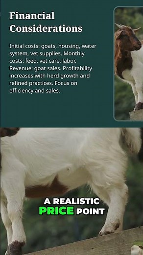 Goat Farming in Zambia: Costs, Revenue & Profitability
