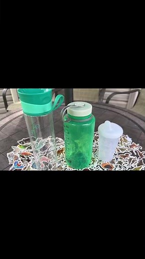 Fun Animal Stickers for Kids Water Bottles and Crafts | Taeekiy