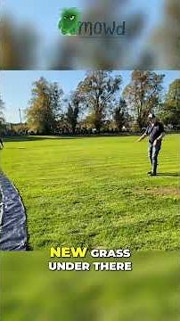 How to spread grass seed by hand for the fastest germination