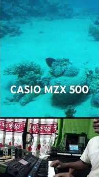 casio mzx 500