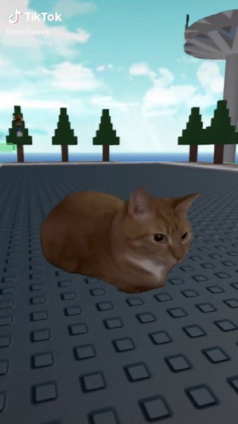 Funny Cat Meme Compilation