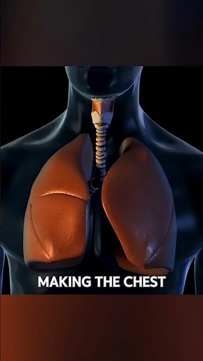 Iron Lungs EXPLAINED!