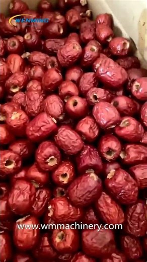 Date pitting machine Date pitter Machine #machinerychannel #machine #amazingmachinery