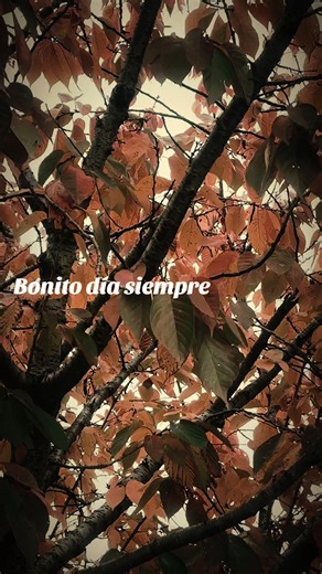 #Peru🇵🇪❤️Italia🇮🇹❤️ Milano