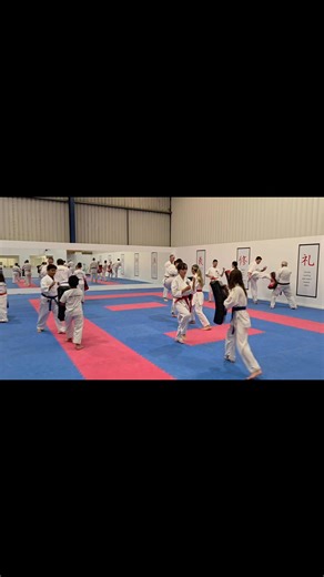 Some fantastic kicking drills on Monday night | GKR Karate
