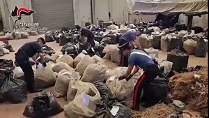 4M views · 19K reactions | La scoperta dei Carabinieri all'interno di...