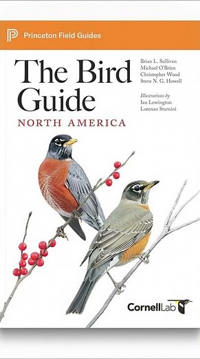 The Bird Guide: North America #nature #birds