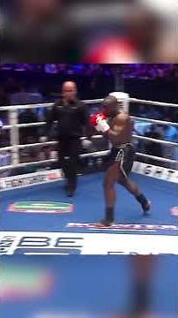 Gokhan Saki vs. Melvin Manhoef.