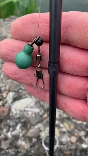 I Found the BEST Beginner Trout Fishing Setup #shorts #fishing #troutfishing #trout #fish