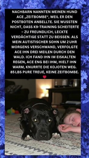 Mein Held Ace: 85 lbs pure Treue ❤️