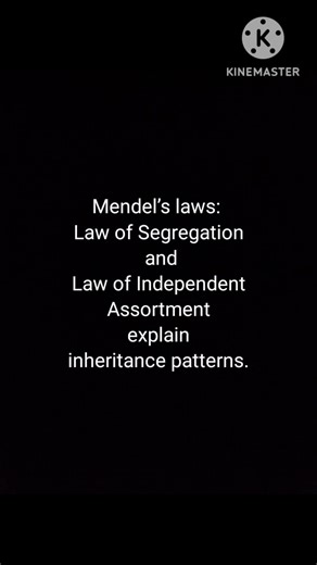Mendal's law of inheritance #neet #biology #shorts
