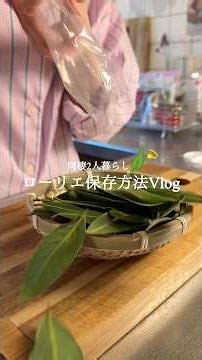 [How to store bay leaves 🌿] Dried bay leaves can be used as interior decoration 🏡