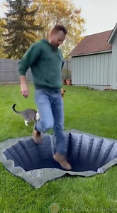 336K views · 304 reactions | The Pets Refused to Step Forward… So the Owner Tried ️ #cat #dog #prank #funnyshorts #AI | Chunky Cat and Friends | Facebook