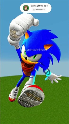 Sonic's New Adventures in Minecraft Pixel Art | Sonic, Jewel the Beetle, Rough the Skunk & Tumble
