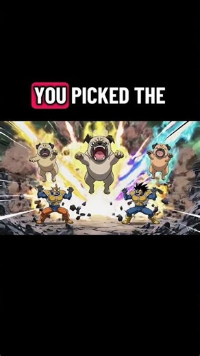 When Dragon Ball meets pug power 💥🐶 ‪@Tailwaggerzzz‬