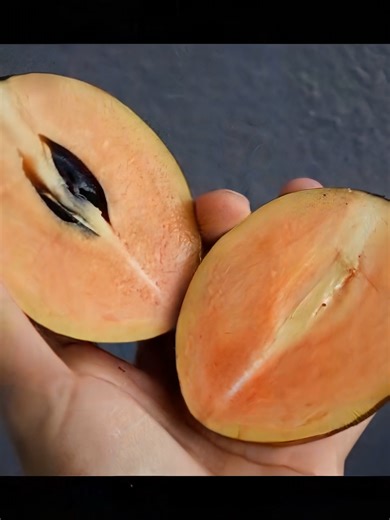 Ciku Mega Saiz XXL Buah Ciku S