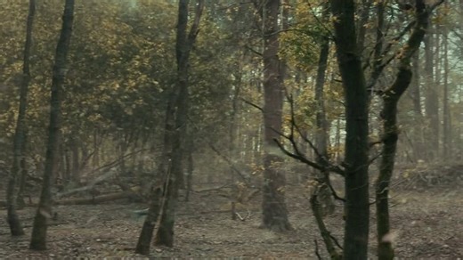 Greenland.2.Migration.2026.1080p.WEBRip.x264.AAC5.1-[YTS.BZ]