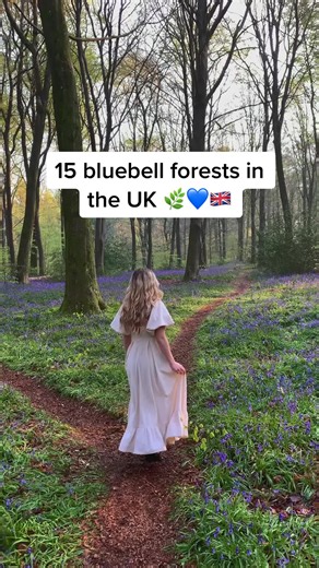 15 Enchanting Bluebell Forests to Explore in the UK
