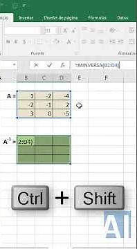 🔂 INVERSE of a MATRIX with EXCEL | ApinfoxShort #8