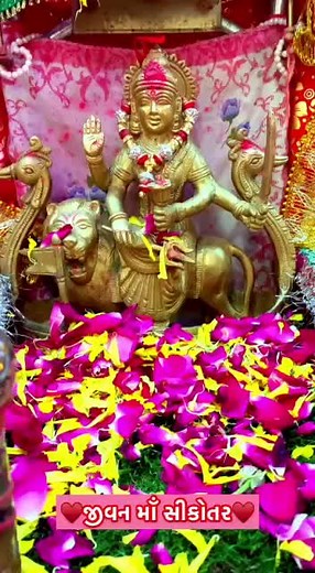 #jaysikotar #jaysikotarmaa @nikhil_rabari_san @viju_rabari_sanat