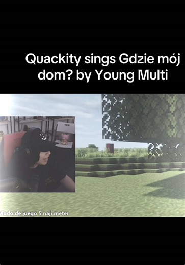 Quackity sings Biggest chain by Young Multi #quackity #youngmulti #qsmp #gdziemojdom #biggestchain