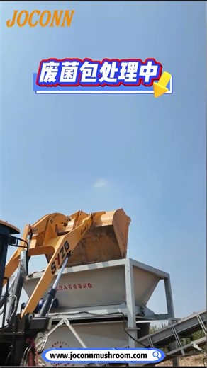 Mushroom bag separation machine production line working site #mushroommachine #machine #mushroom